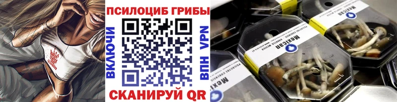 Галлюциногенные грибы Psilocybe  Купить  Крым 